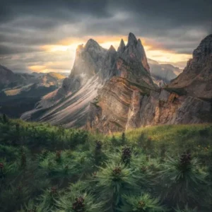 دانلود آهنگ Take me There ترند خارجی دانلود آهنگ Take me There ترند خارجی