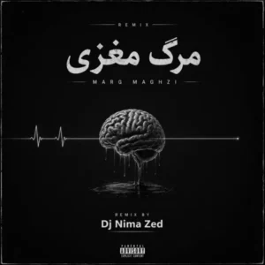 دانلود ریمیکس دیجی نیما زد مرگ مغزی