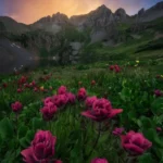 دانلود آهنگ بگو چی اومده سرمون چی شد اون روزای خوبمون