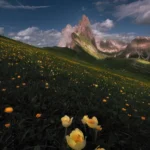 دانلود آهنگ بیا یادت بدم راه چاهو